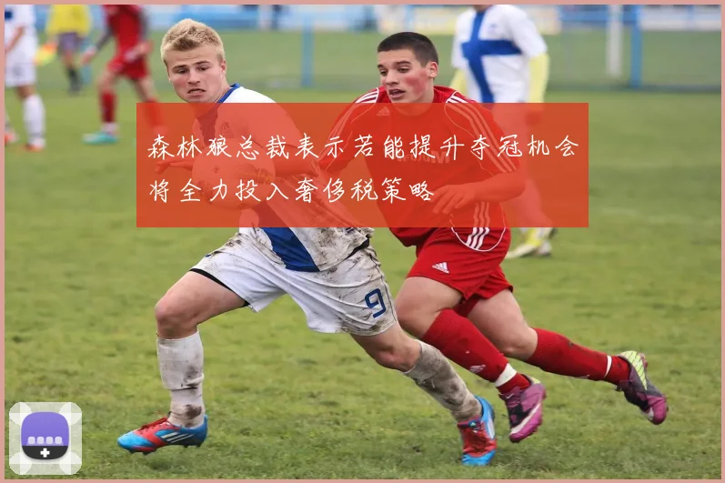 森林狼总裁表示若能提升夺冠机会将全力投入奢侈税策略