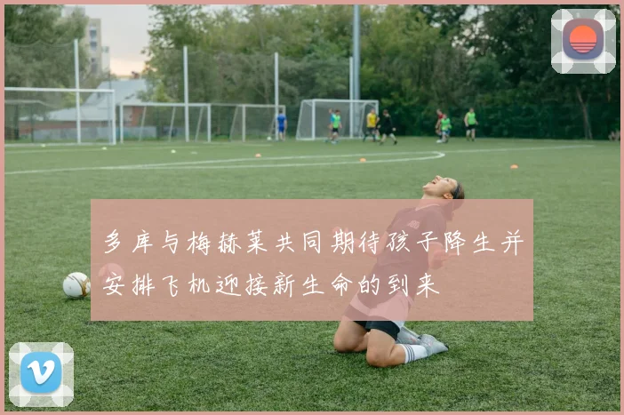 多库与梅赫莱共同期待孩子降生并安排飞机迎接新生命的到来